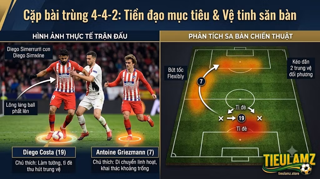 Sơ Đồ 4-4-2: Phân Tích Cấu Trúc, Ưu Nhược Điểm Và Cách Vận Hành